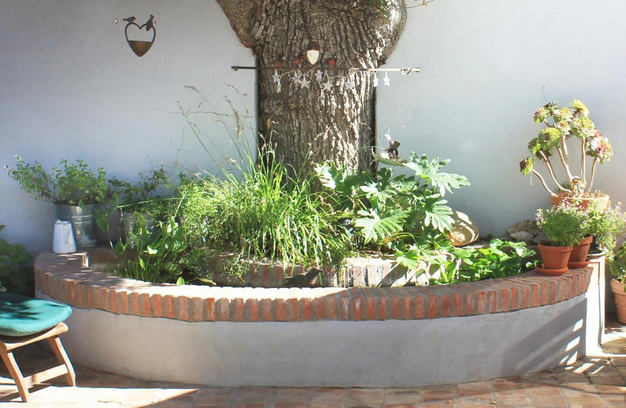 Himmelblau Boutique Bed And Breakfast Cape Town Ngoại thất bức ảnh
