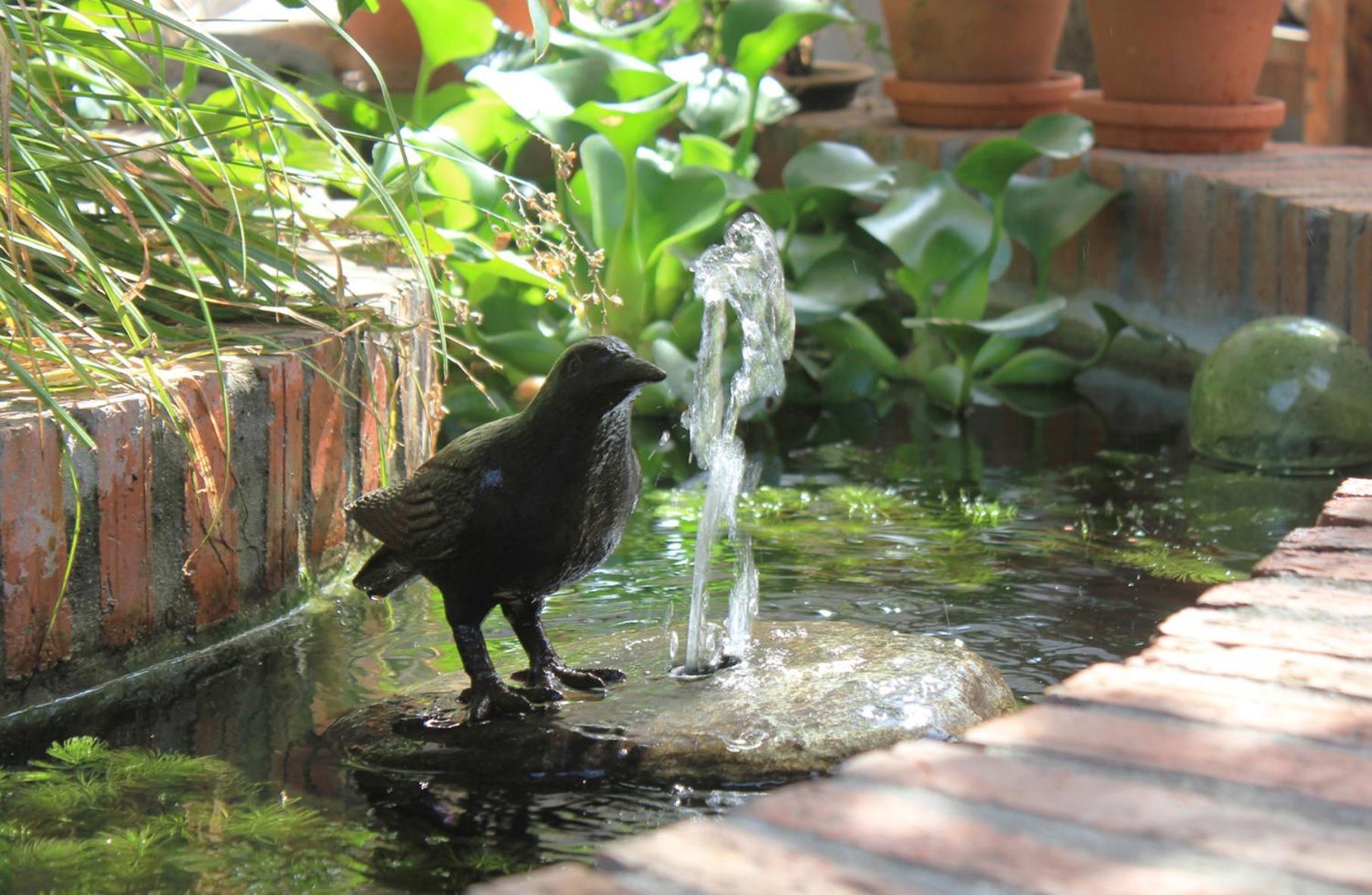 Himmelblau Boutique Bed And Breakfast Cape Town Ngoại thất bức ảnh